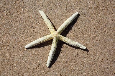 《命运2》全新资料片“邪姬魅影”今晚12点正式公布